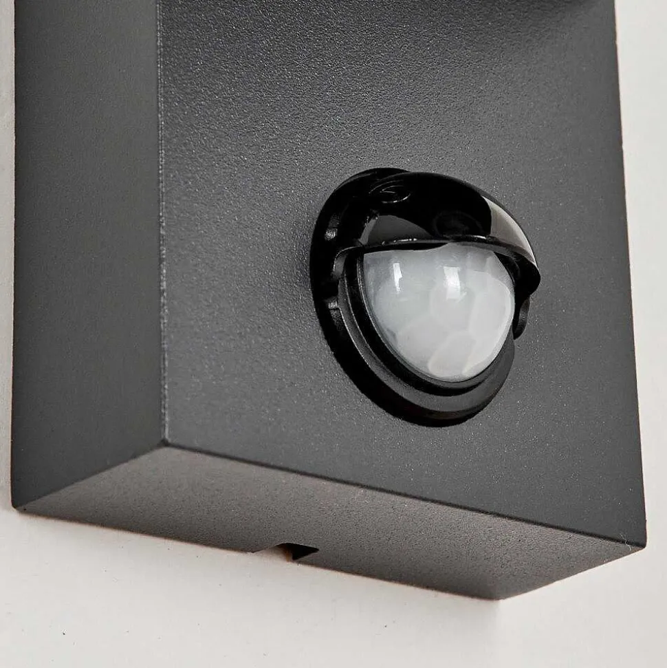Applique Murale D'Exterieur Kingstown Anthracite, Transparent, 1 Lumiere, Detecteur De Mouvement