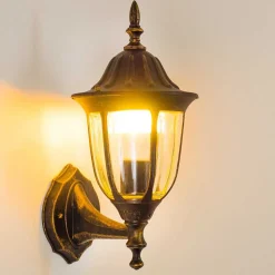 Applique Murale D'Exterieur Ribadeo Noir Dore, 1 Lumiere