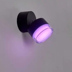 Applique Murale D'Exterieur Papagayos Led Anthracite, 1 Lumiere, Changeur De Couleurs