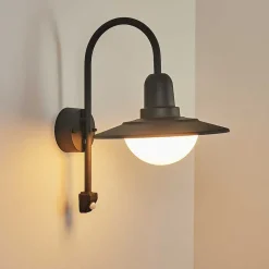 Applique Murale D'Exterieur Pohei Anthracite, 1 Lumiere, Detecteur De Mouvement