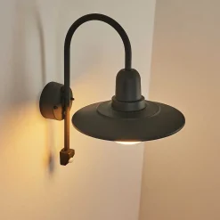 Applique Murale D'Exterieur Pohei Anthracite, 1 Lumiere, Detecteur De Mouvement