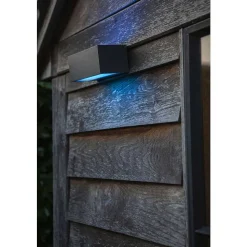 Applique Murale D'Exterieur Lutec Gemini Led Anthracite, 2 Lumieres, Changeur De Couleurs