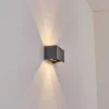Applique Murale D'Exterieur Tamarin Led Anthracite, 1 Lumiere