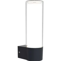 Applique Murale D'Exterieur Lutec Dropa Led Anthracite, 1 Lumiere, Changeur De Couleurs