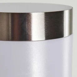 Applique Murale D'Exterieur Walise Acier Inoxydable, 1 Lumiere, Detecteur De Mouvement