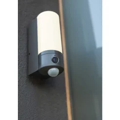 Applique Murale D'Exterieur Lutec Pollux Led Anthracite, 1 Lumiere, Detecteur De Mouvement