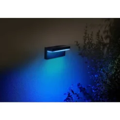 Applique Murale D'Exterieur Philips Hue Nyro Led Noir, 1 Lumiere, Changeur De Couleurs