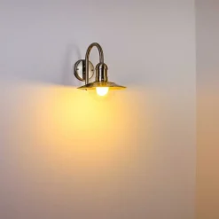 Applique Murale D'Exterieur Elima Acier Inoxydable, 1 Lumiere