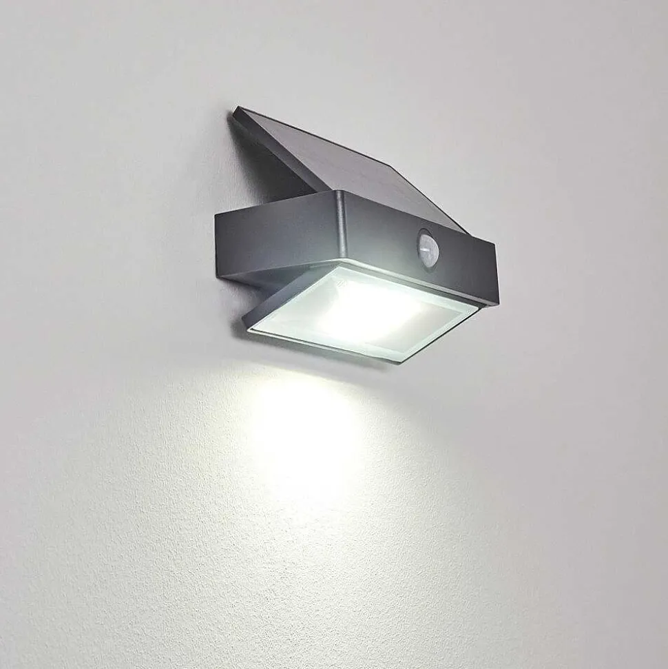 Applique Murale D'Exterieur Wiborg Led Anthracite, 1 Lumiere, Detecteur De Mouvement