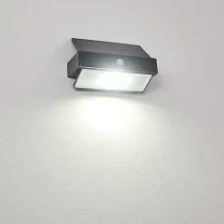 Applique Murale D'Exterieur Wiborg Led Anthracite, 1 Lumiere, Detecteur De Mouvement