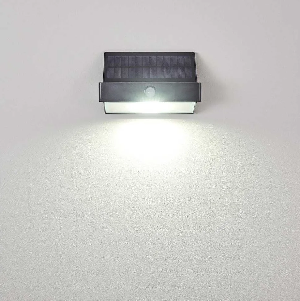 Applique Murale D'Exterieur Wiborg Led Anthracite, 1 Lumiere, Detecteur De Mouvement