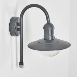 Applique Murale D'Exterieur Elima Anthracite, 1 Lumiere, Detecteur De Mouvement