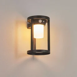 Applique Murale D'Exterieur Lokpano Led Noir, 1 Lumiere, Detecteur De Mouvement, Changeur De Couleurs