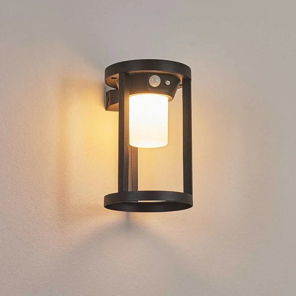 Applique Murale D'Exterieur Lokpano Led Noir, 1 Lumiere, Detecteur De Mouvement, Changeur De Couleurs