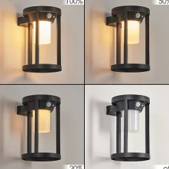 Applique Murale D'Exterieur Lokpano Led Noir, 1 Lumiere, Detecteur De Mouvement, Changeur De Couleurs