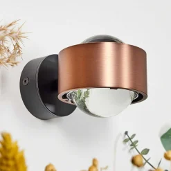 Applique Murale Sapri Cuivre, Noir, 1 Lumiere