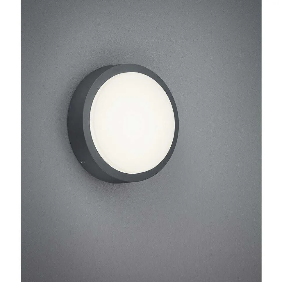 Applique Murale Trio Breg Led Anthracite, 1 Lumiere