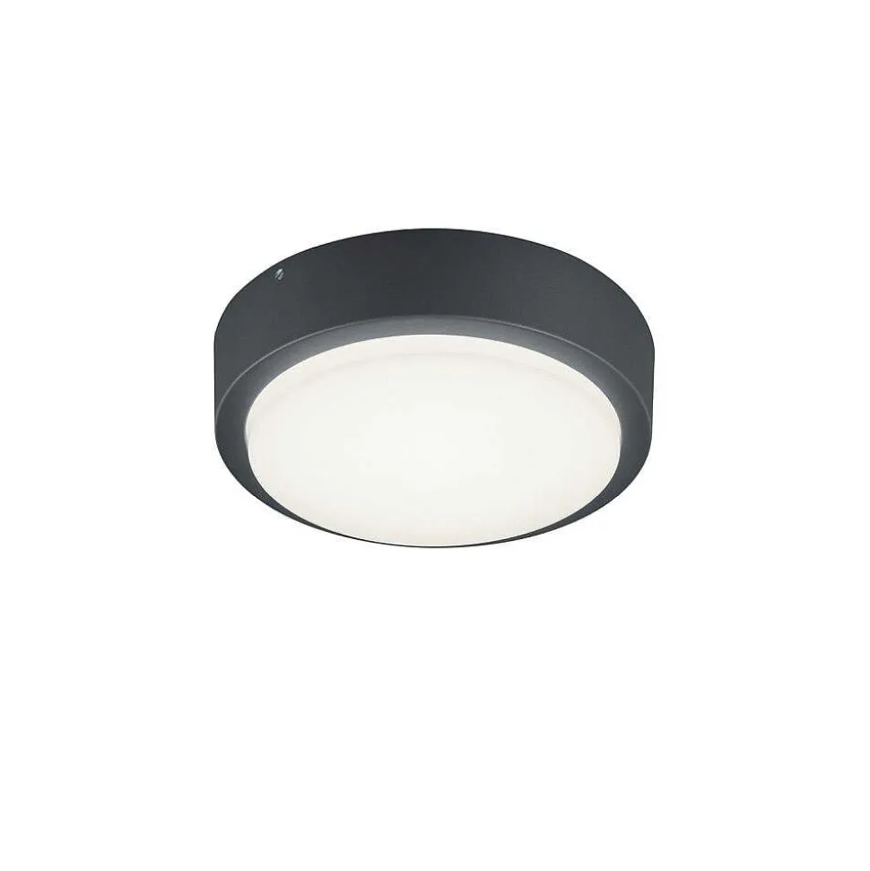 Applique Murale Trio Breg Led Anthracite, 1 Lumiere