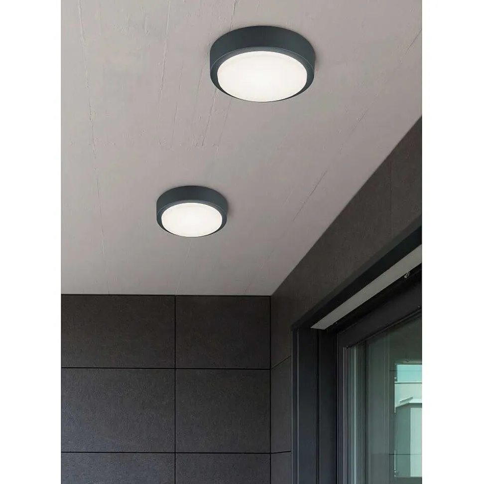 Applique Murale Trio Breg Led Anthracite, 1 Lumiere