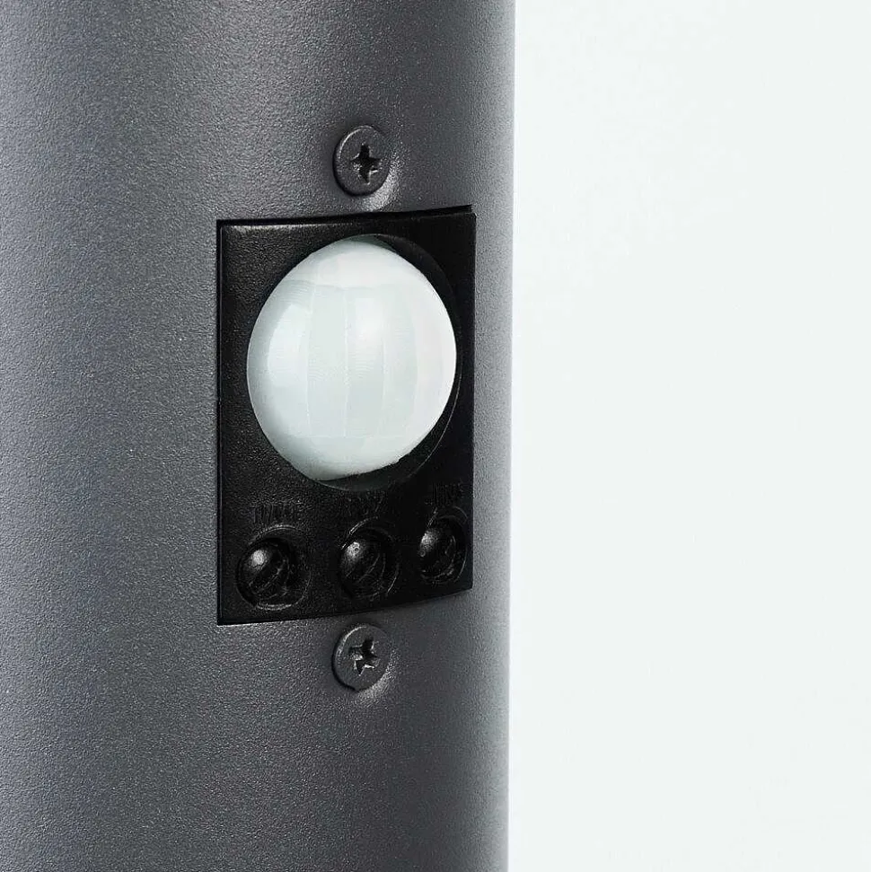 Borne Lumineuse Caserta Anthracite, 1 Lumiere, Detecteur De Mouvement