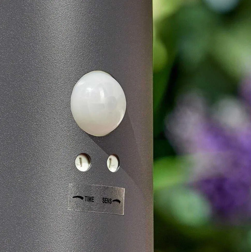 Borne Lumineuse Dakar Anthracite, 1 Lumiere, Detecteur De Mouvement