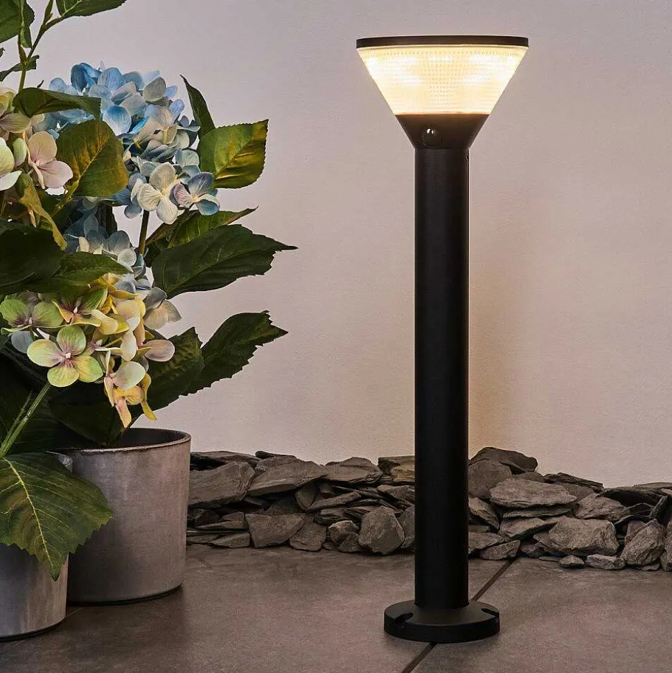 Borne Lumineuse Joennierni Led Noir, 1 Lumiere, Detecteur De Mouvement, Changeur De Couleurs