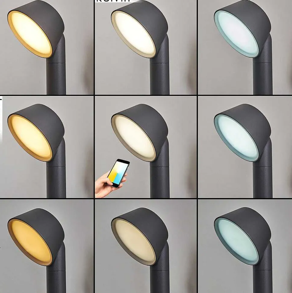 Borne Lumineuse Moroni Led Anthracite, 1 Lumiere