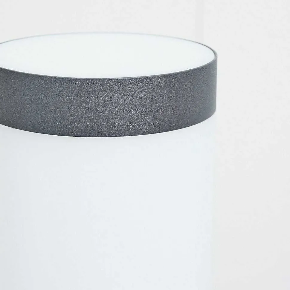 Borne Lumineuse Sessa Anthracite, 1 Lumiere