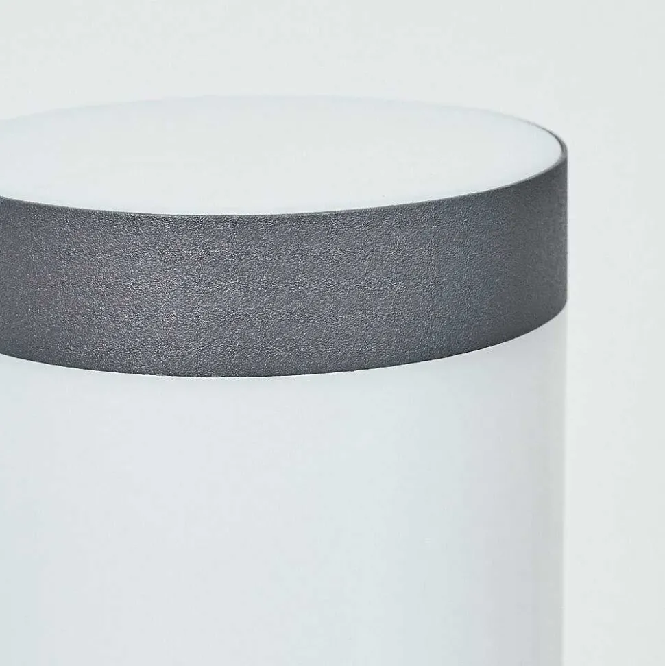 Borne Lumineuse Sessa Anthracite, 1 Lumiere, Detecteur De Mouvement