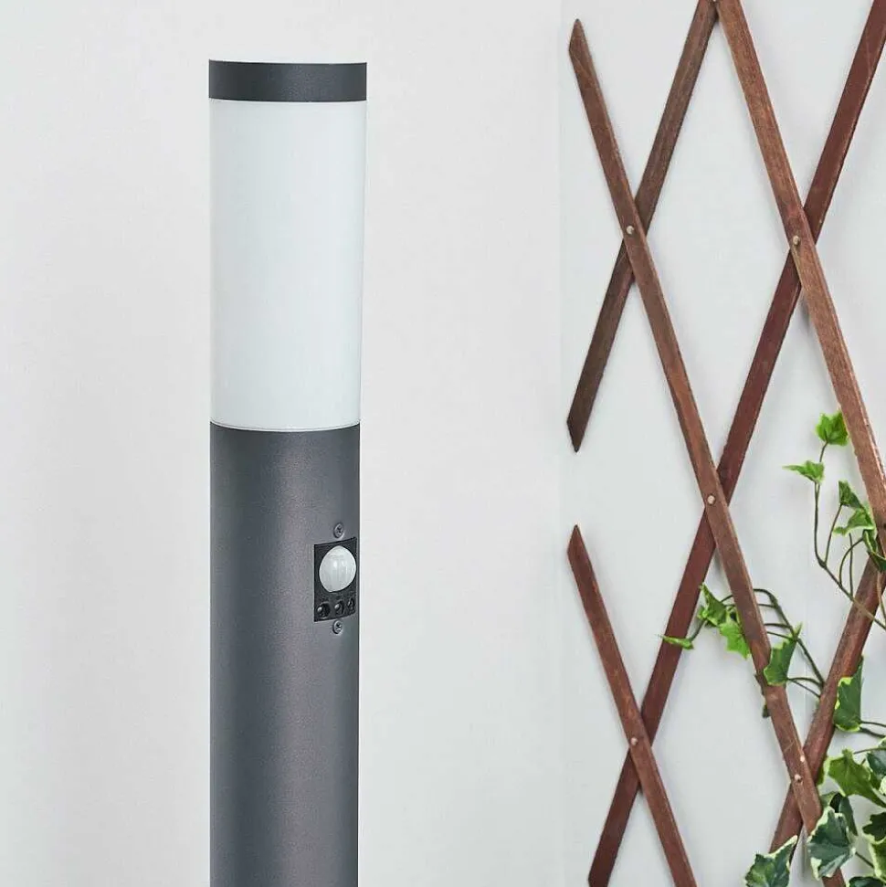 Borne Lumineuse Sessa Anthracite, 1 Lumiere, Detecteur De Mouvement
