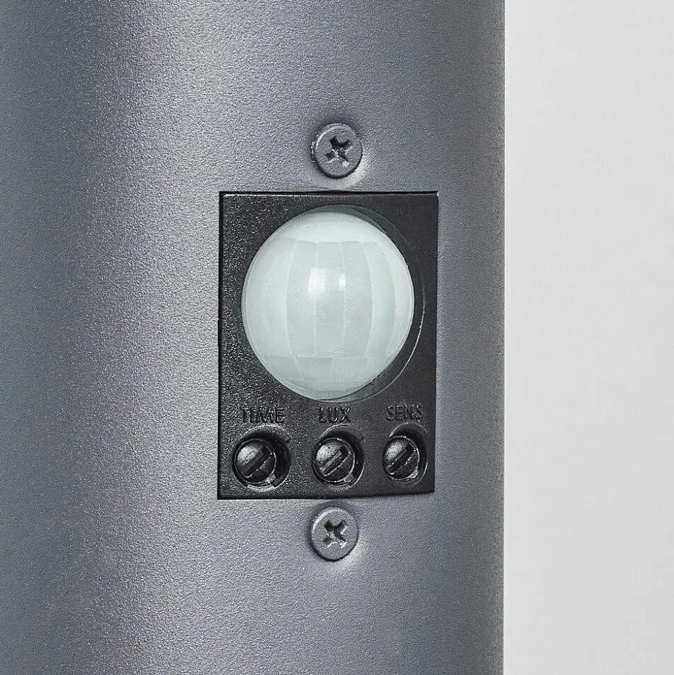 Borne Lumineuse Sessa Anthracite, 1 Lumiere, Detecteur De Mouvement