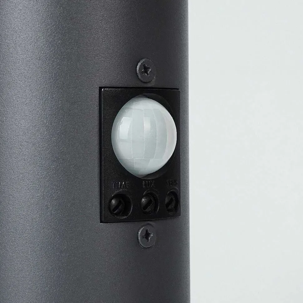 Borne Lumineuse Sessa Anthracite, 1 Lumiere, Detecteur De Mouvement