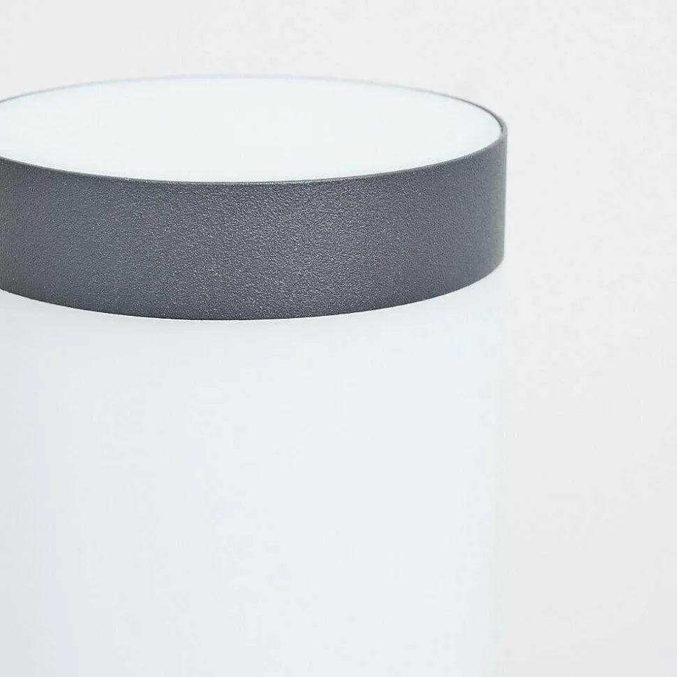 Borne Lumineuse Sessa Anthracite, 1 Lumiere, Detecteur De Mouvement