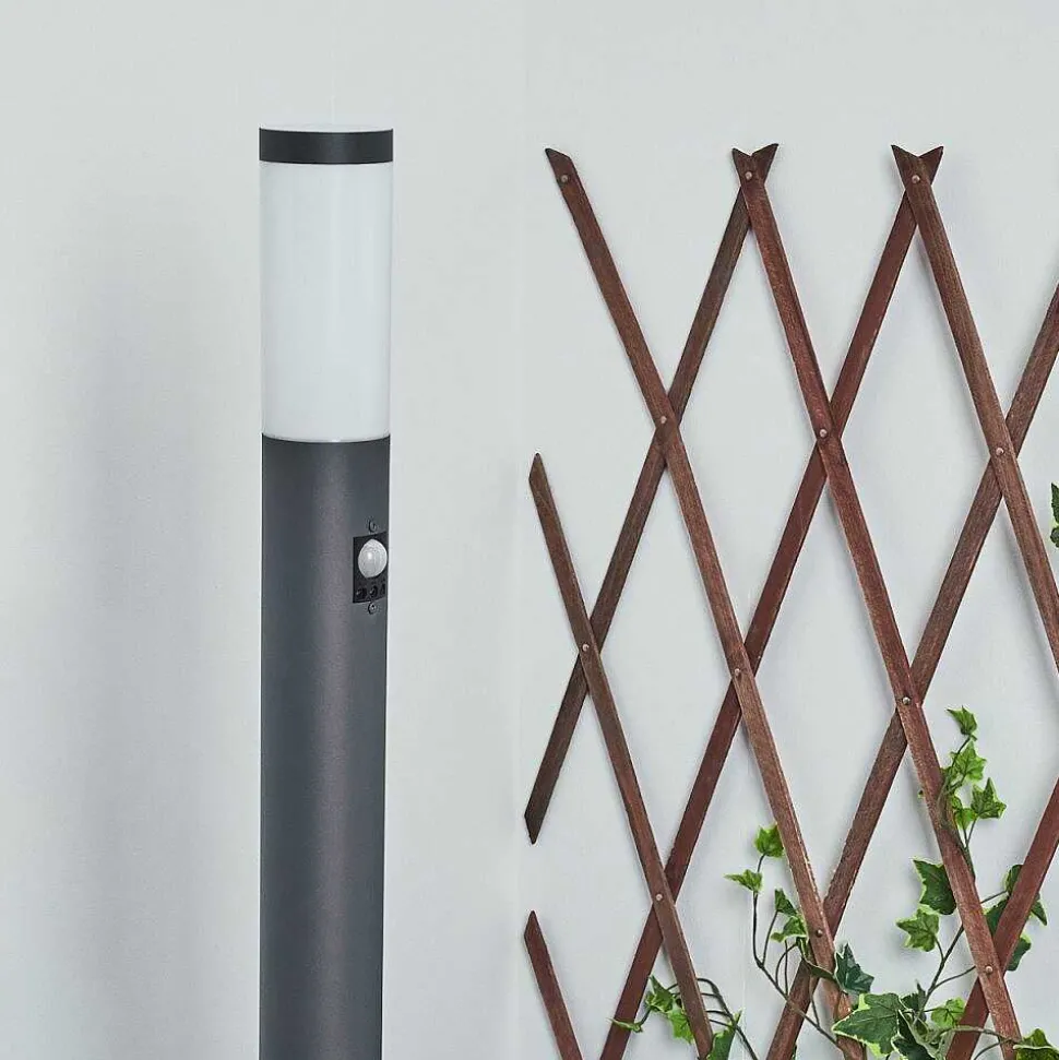 Borne Lumineuse Sessa Anthracite, 1 Lumiere, Detecteur De Mouvement