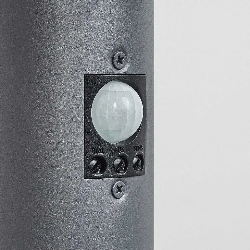 Borne Lumineuse Sessa Anthracite, 1 Lumiere, Detecteur De Mouvement