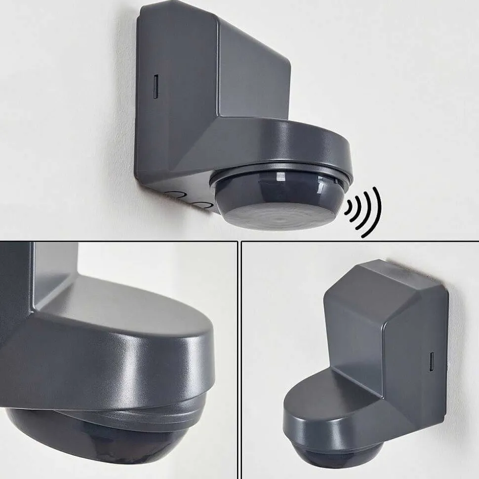 Detecteur De Mouvement Calambao Anthracite, Blanc, Detecteur De Mouvement