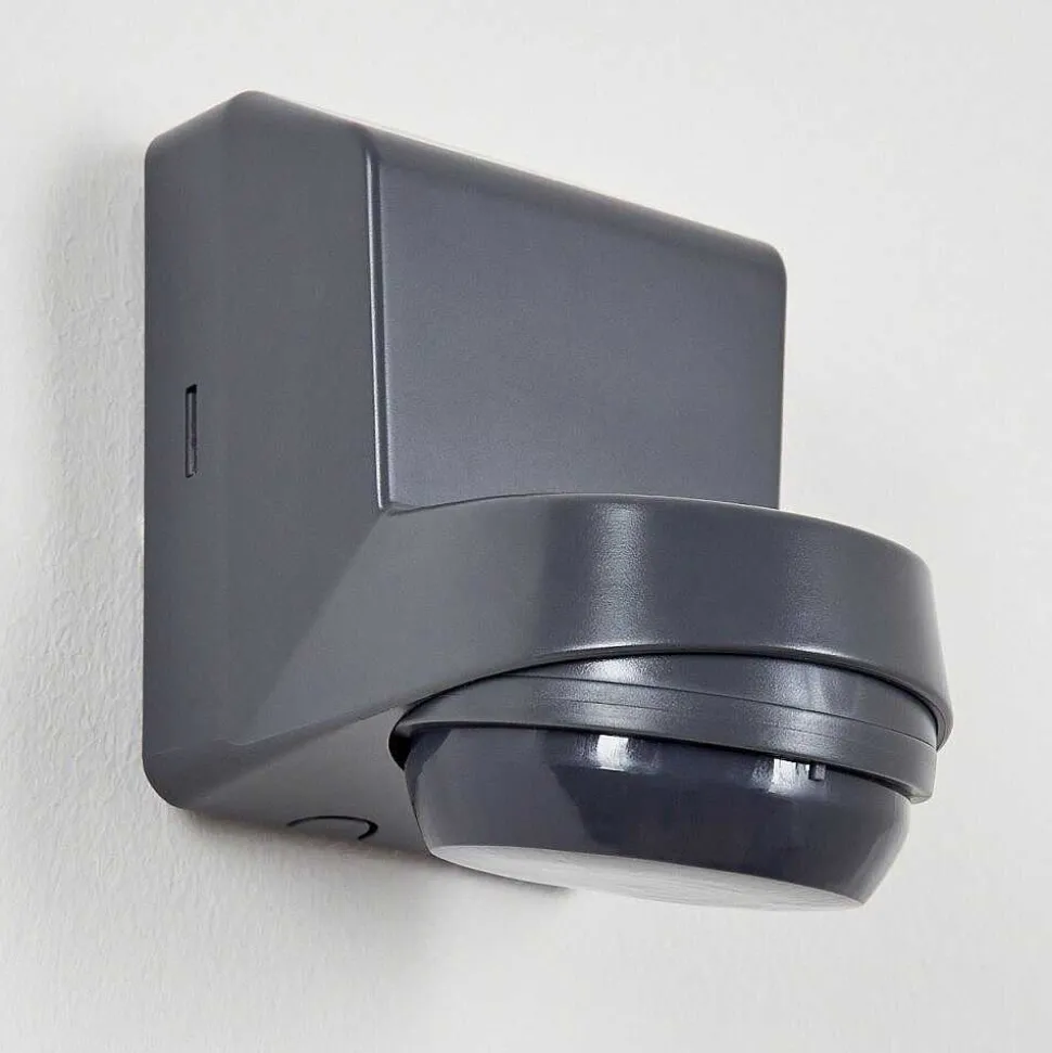 Detecteur De Mouvement Calambao Anthracite, Blanc, Detecteur De Mouvement