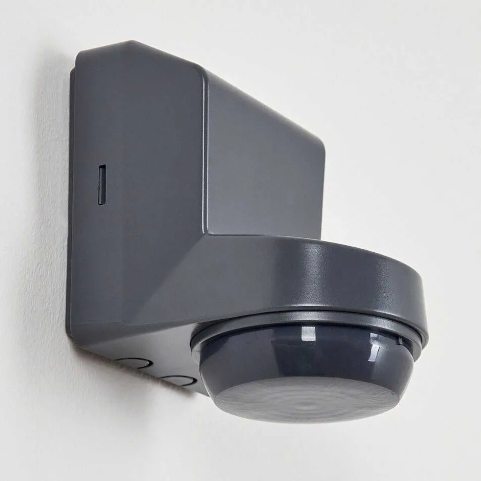 Detecteur De Mouvement Calambao Anthracite, Blanc, Detecteur De Mouvement