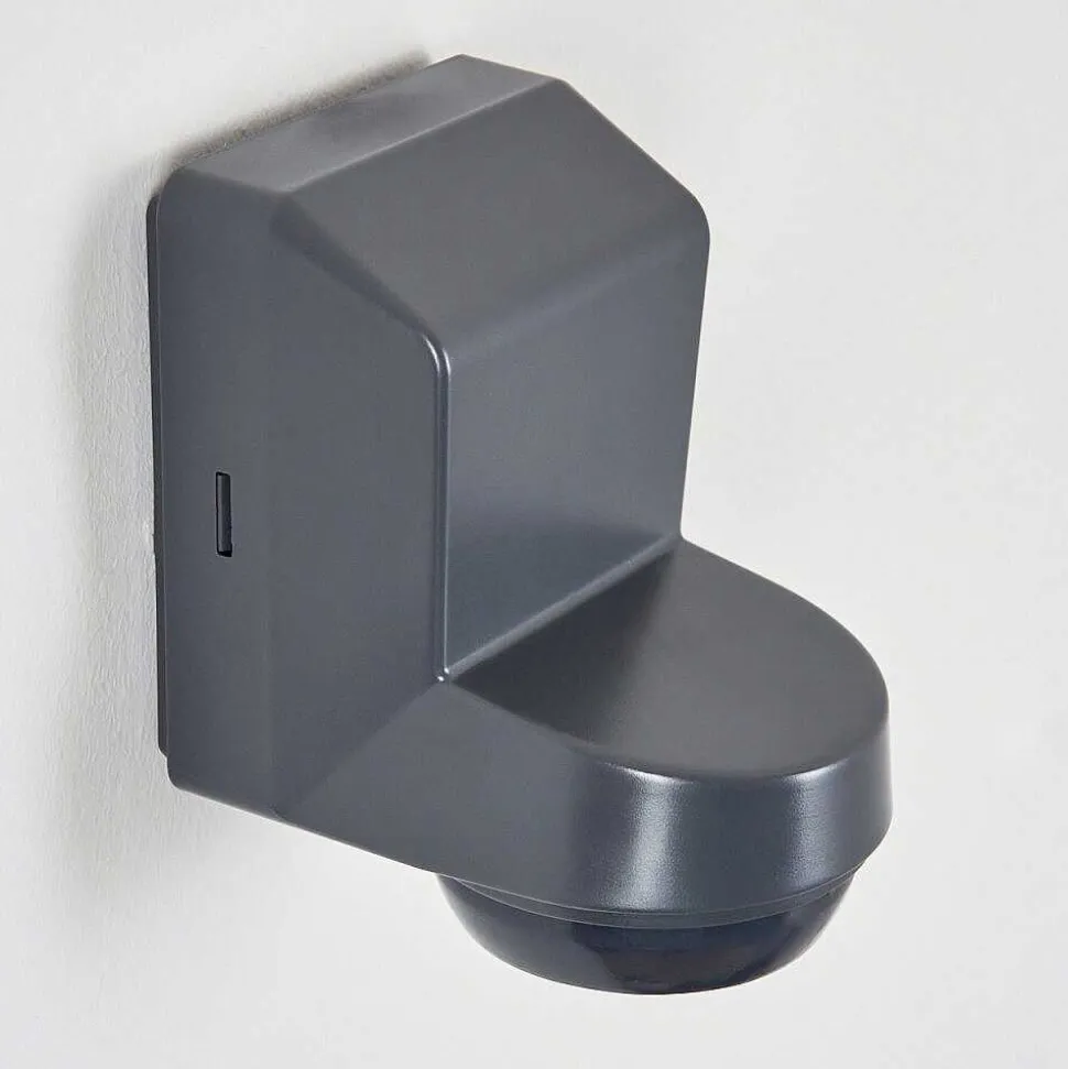 Detecteur De Mouvement Calambao Anthracite, Blanc, Detecteur De Mouvement