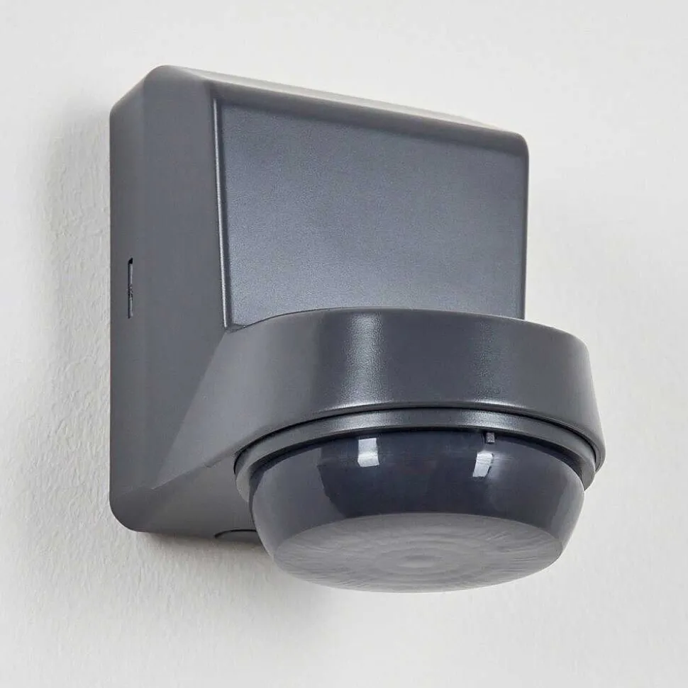 Detecteur De Mouvement Calambao Anthracite, Blanc, Detecteur De Mouvement