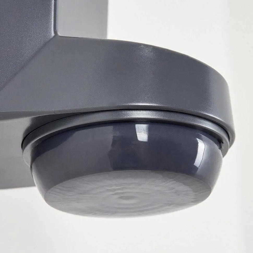 Detecteur De Mouvement Calambao Anthracite, Blanc, Detecteur De Mouvement