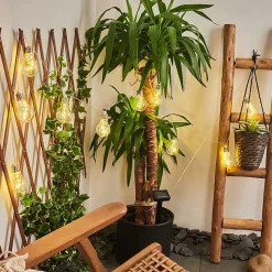 Guirlande Lumineuse Solaire Markhus Led Transparent, 10 Lumieres