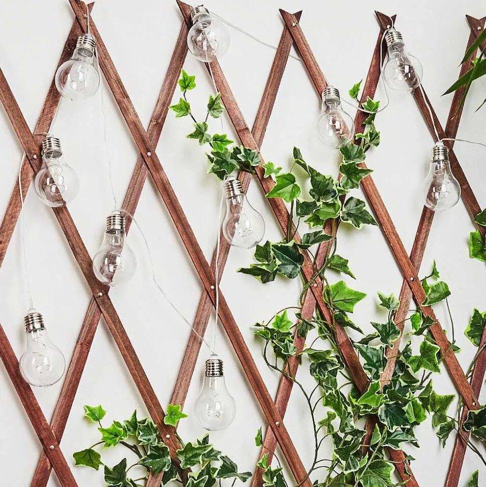 Guirlande Lumineuse Solaire Markhus Led Transparent, 10 Lumieres