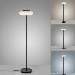 Lampadaire Paul Neuhaus Q-Etienne Led Noir, 1 Lumiere, Telecommandes
