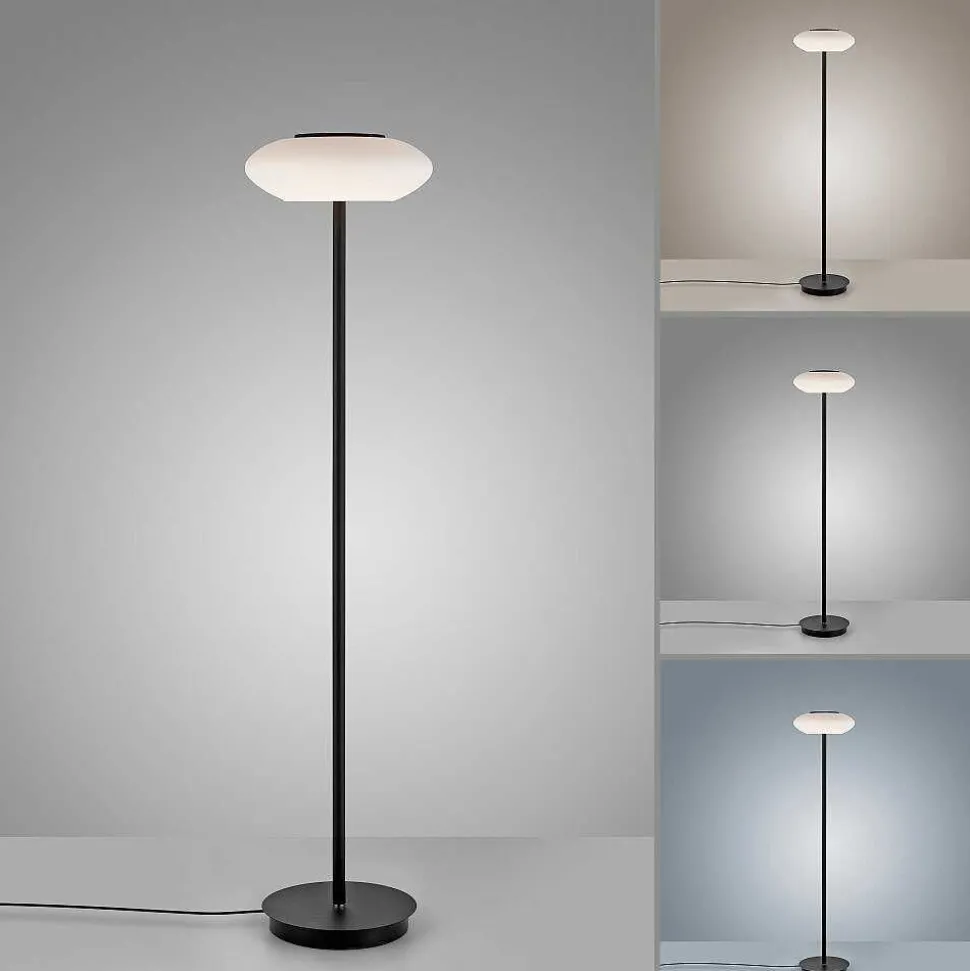 Lampadaire Paul Neuhaus Q-Etienne Led Noir, 1 Lumiere, Telecommandes