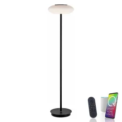 Lampadaire Paul Neuhaus Q-Etienne Led Noir, 1 Lumiere, Telecommandes