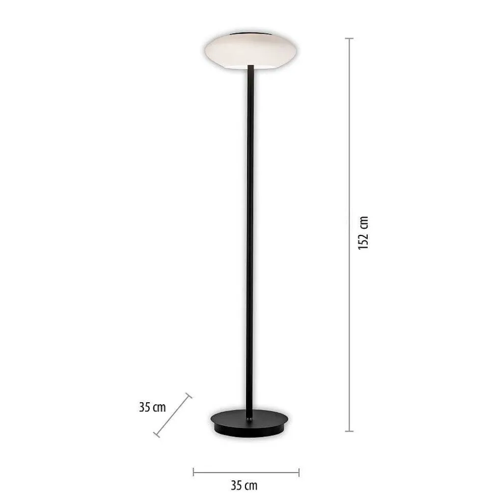 Lampadaire Paul Neuhaus Q-Etienne Led Noir, 1 Lumiere, Telecommandes