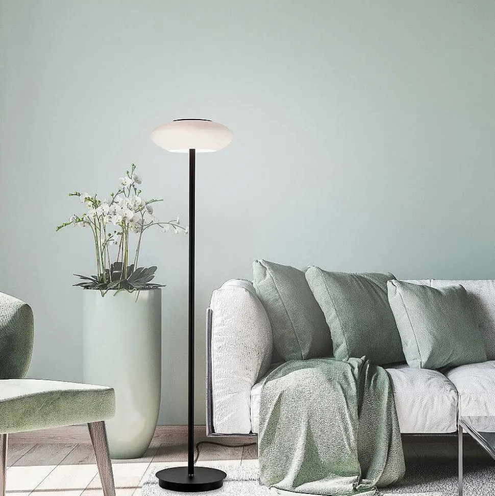 Lampadaire Paul Neuhaus Q-Etienne Led Noir, 1 Lumiere, Telecommandes