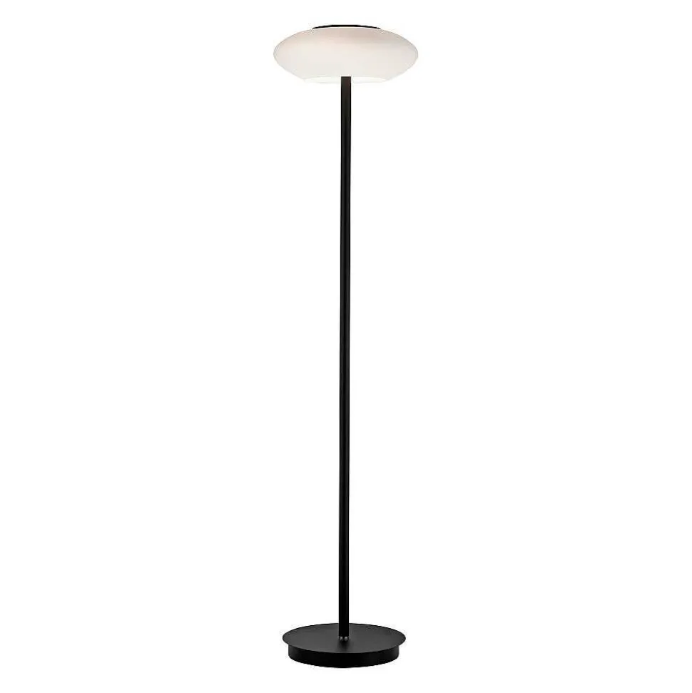 Lampadaire Paul Neuhaus Q-Etienne Led Noir, 1 Lumiere, Telecommandes