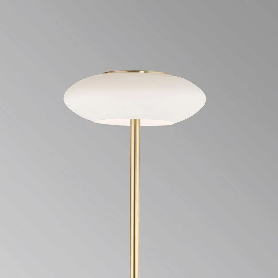 Lampadaire Paul Neuhaus Q-Etienne Led Laiton, 1 Lumiere, Telecommandes